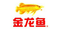 金龍魚